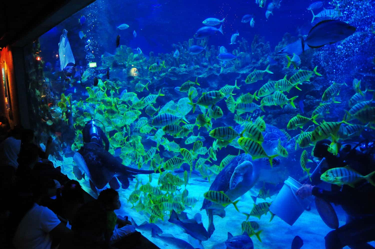 Aquaria KLCC in Malaysia