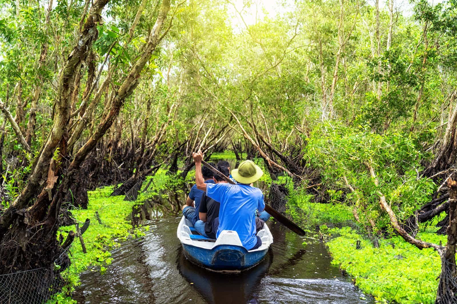 Cruise Through the Mangroves in Sri Lanka Heritage Tours