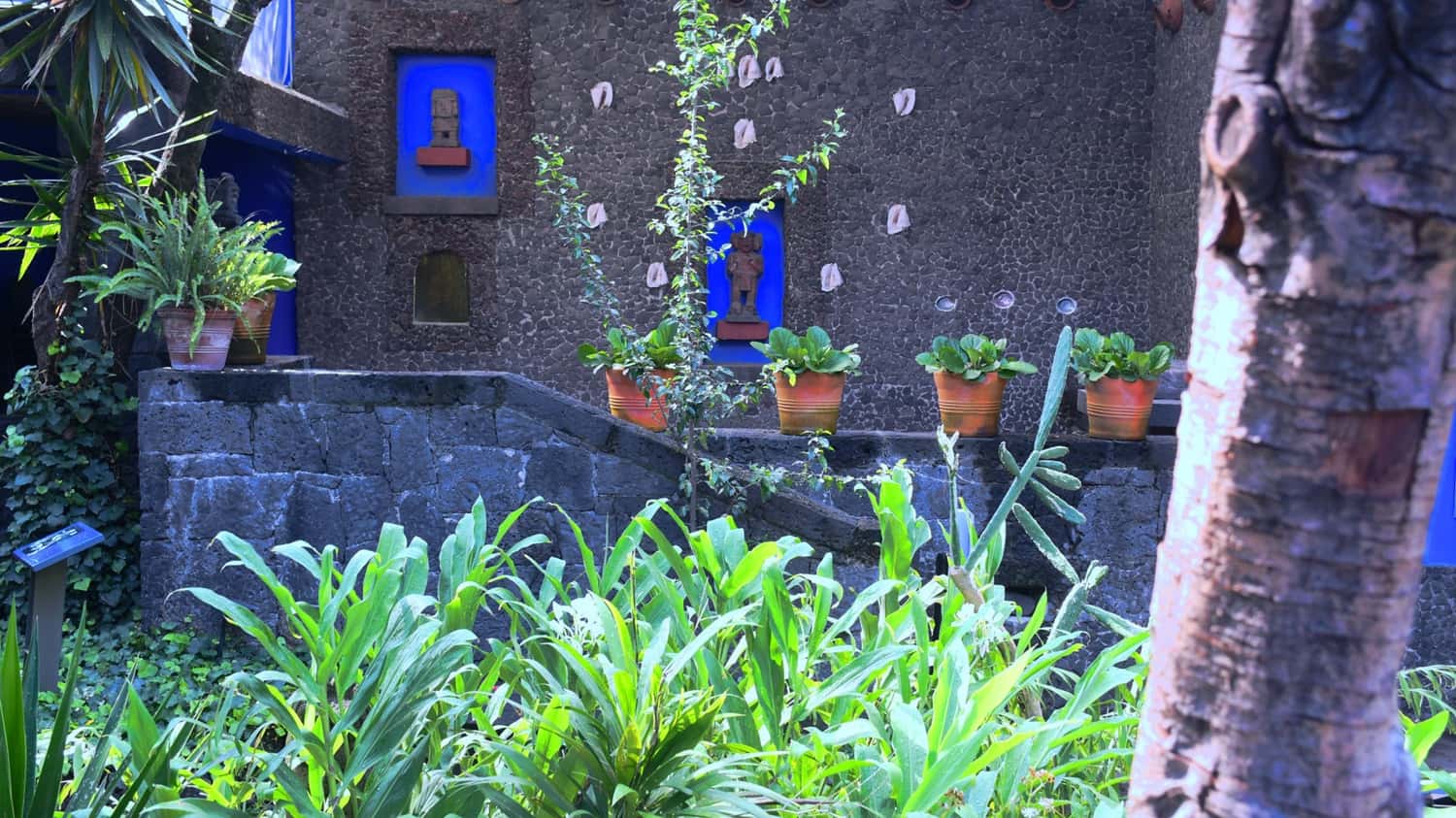 See Frida Kahol’s home turned museum in Mexico