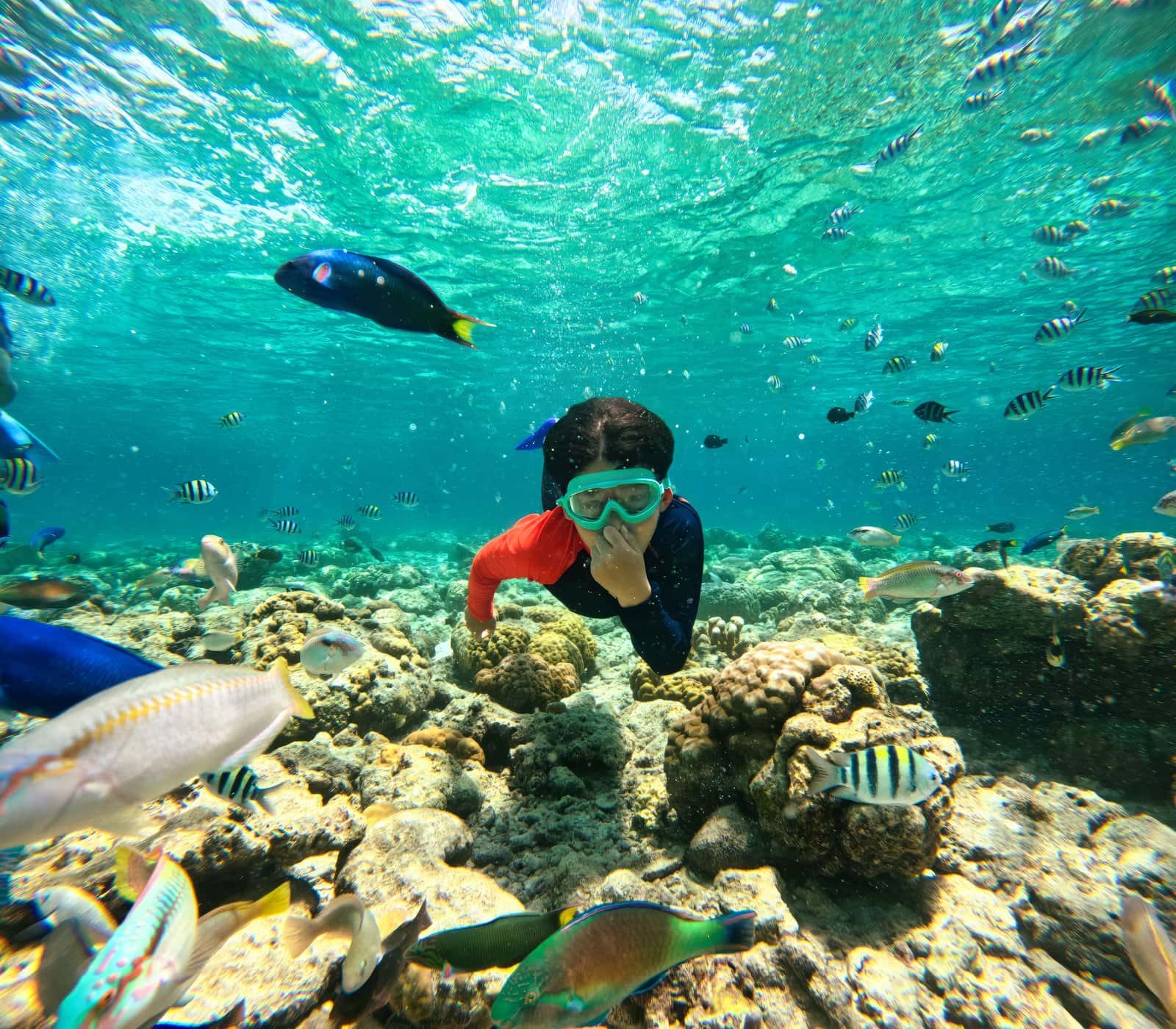 Go Snorkeling At Pigeon Island in Sri Lanka Heritage Tours