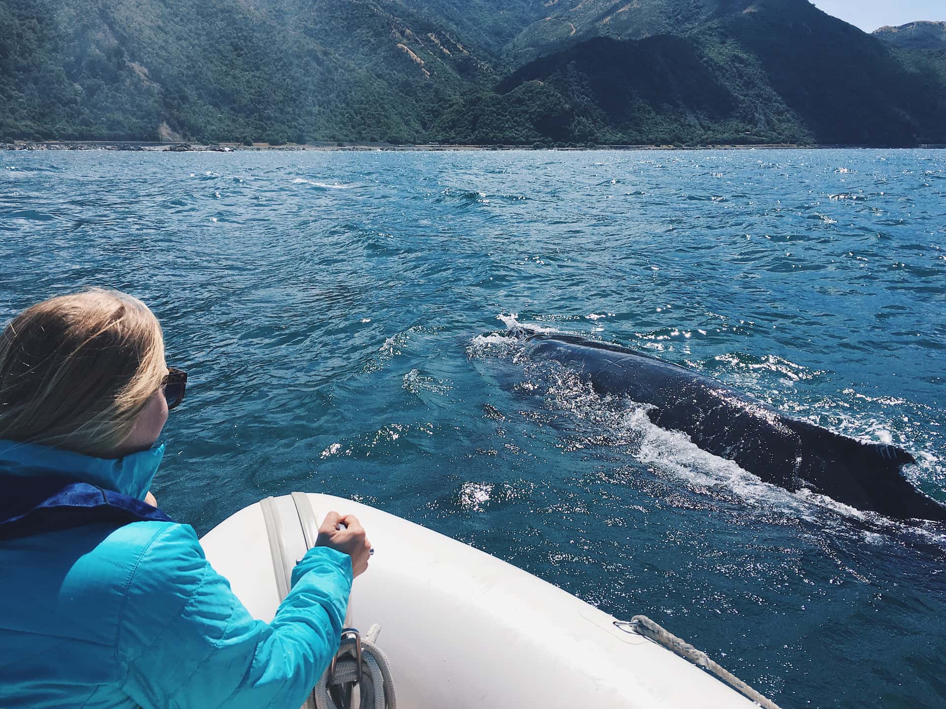 Go whale watching in New Zealand Honeymoon Packages