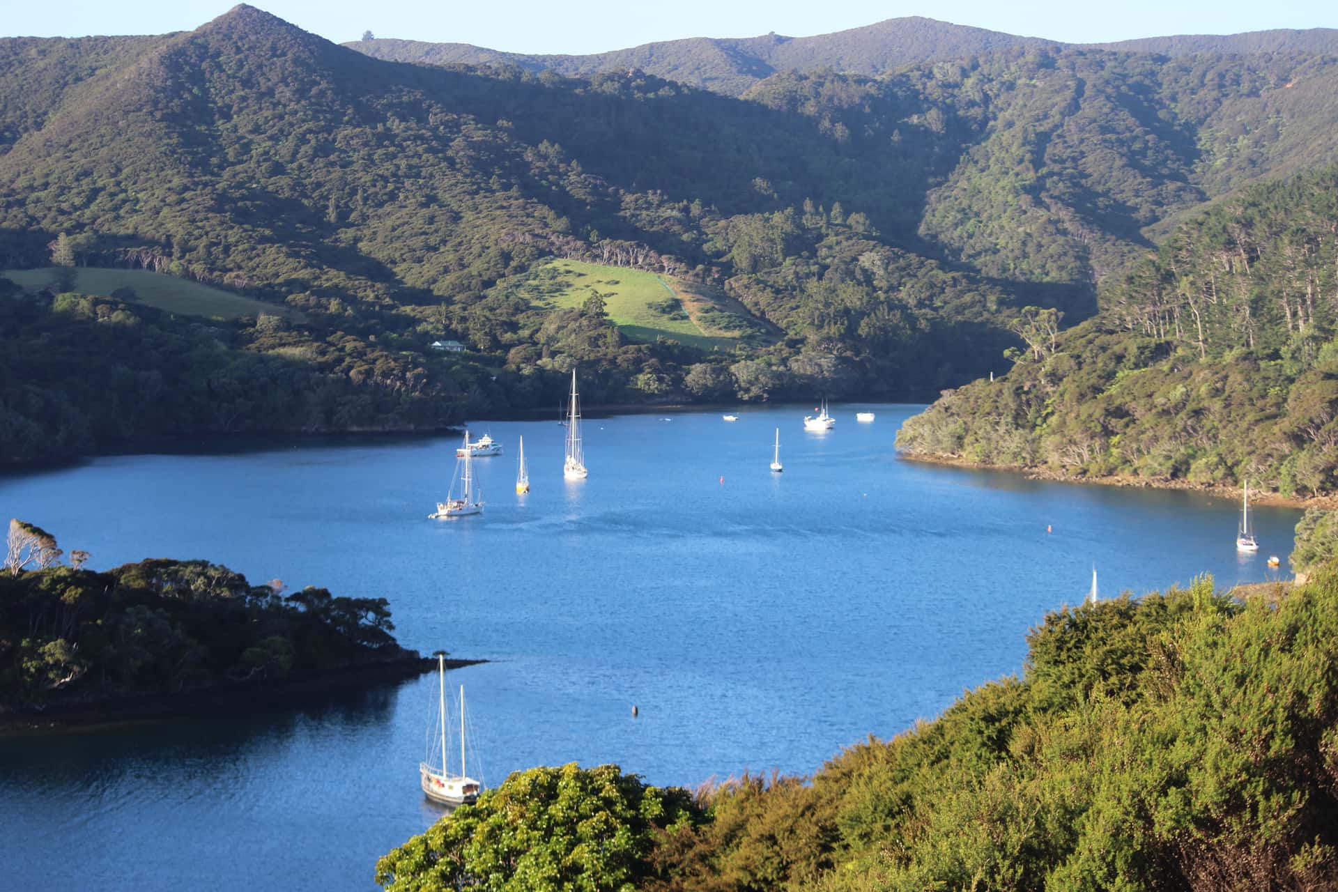 Great Barrier Island in New Zealand Honeymoon Packages