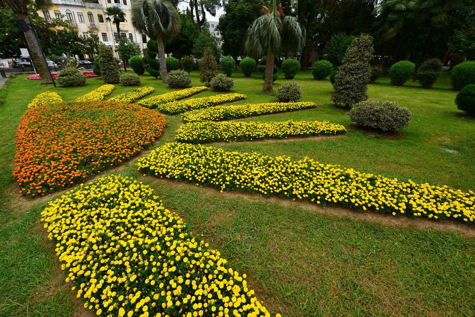 Hakgala Botanical Garden in Sri Lanka Heritage Tours