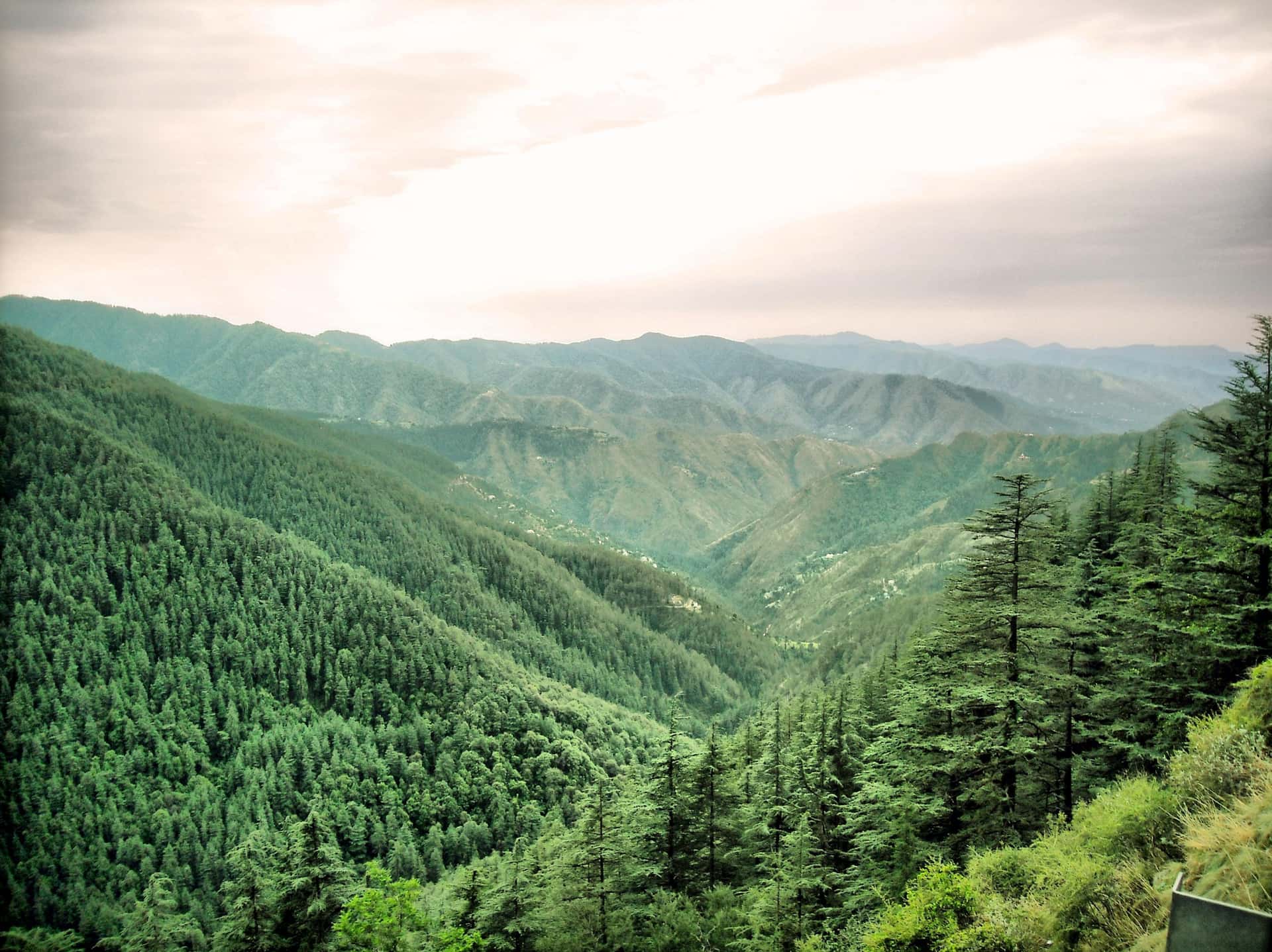 Kufri Valley in All of India