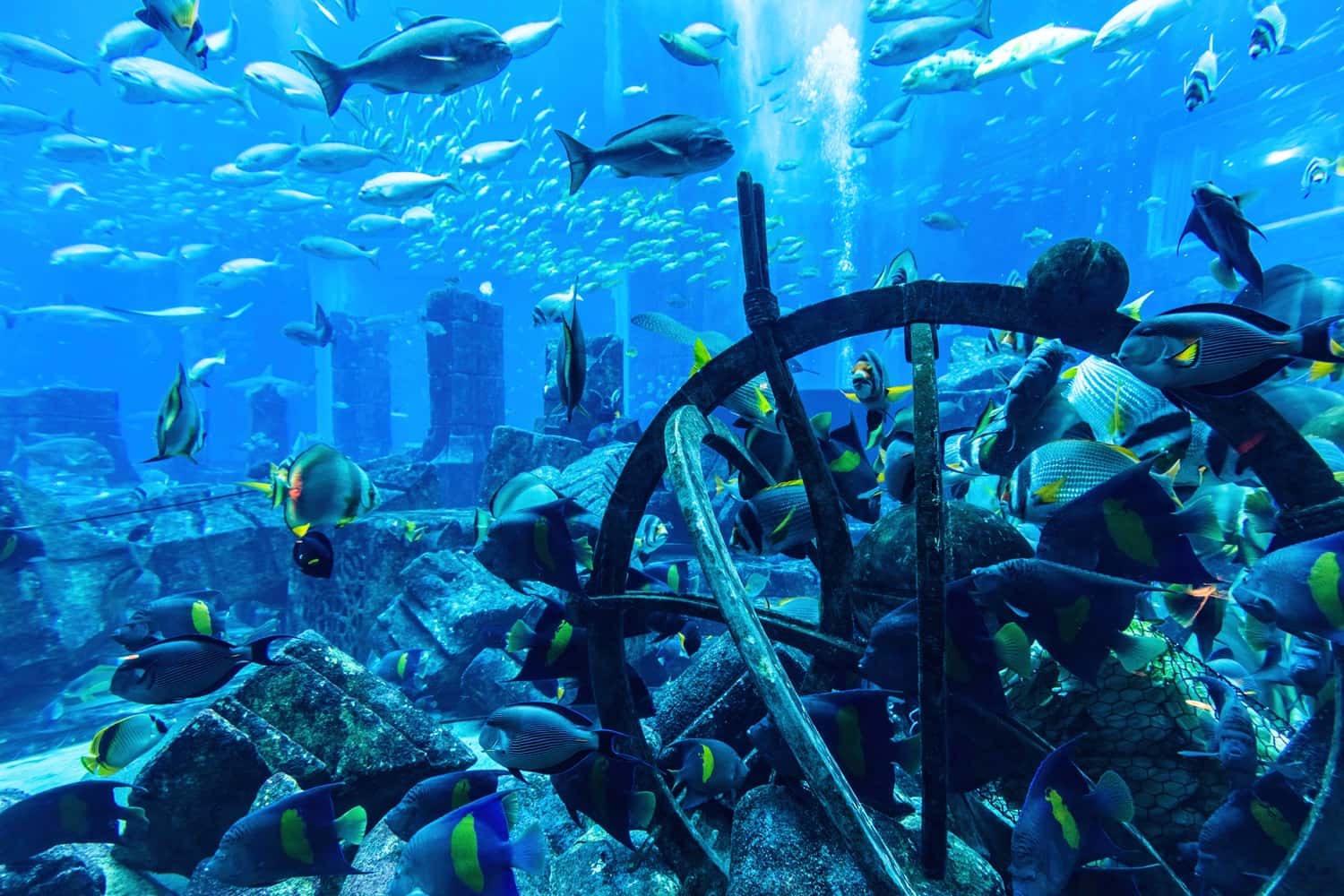 Aquaventure & Lost Chambers in Dubai City Break