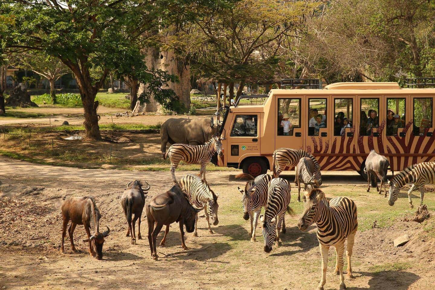 Bali Safari & Marine Park in Bali Heritage Tours