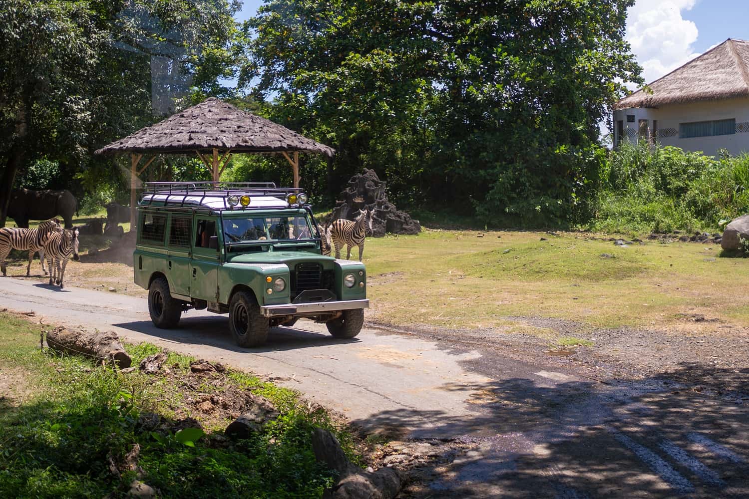 Bali Safari & Marine Park in Bali Honeymoon Packages