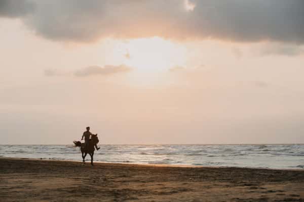 Horse Riding On The Beach in Bali Heritage Tours