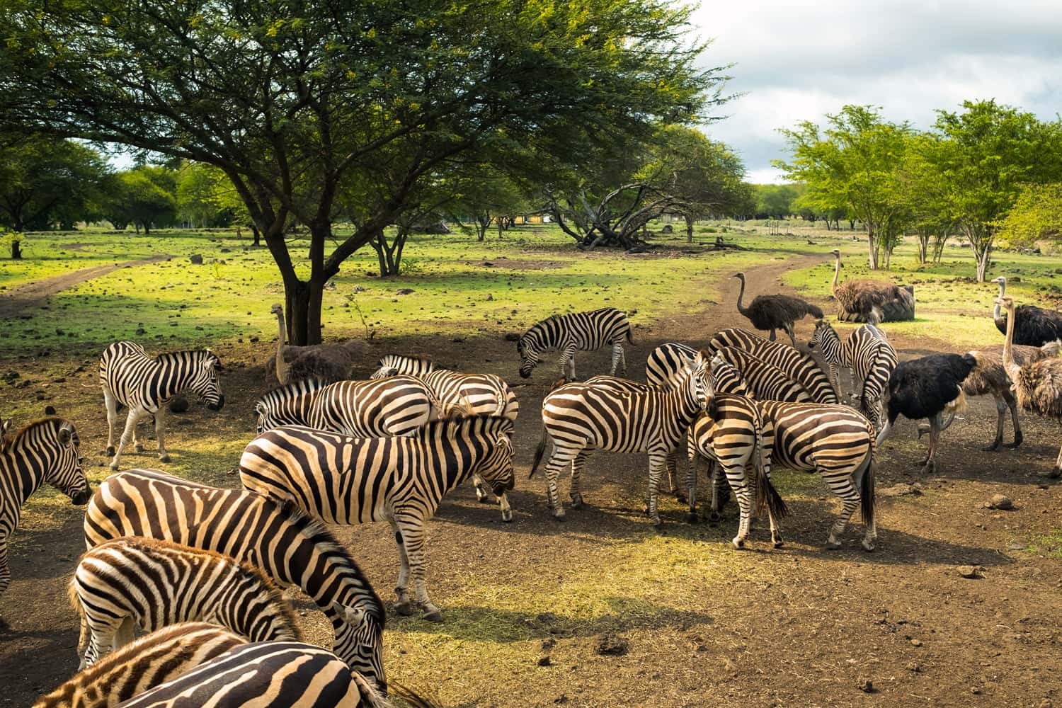 Casela World of Adventures in All of Africa