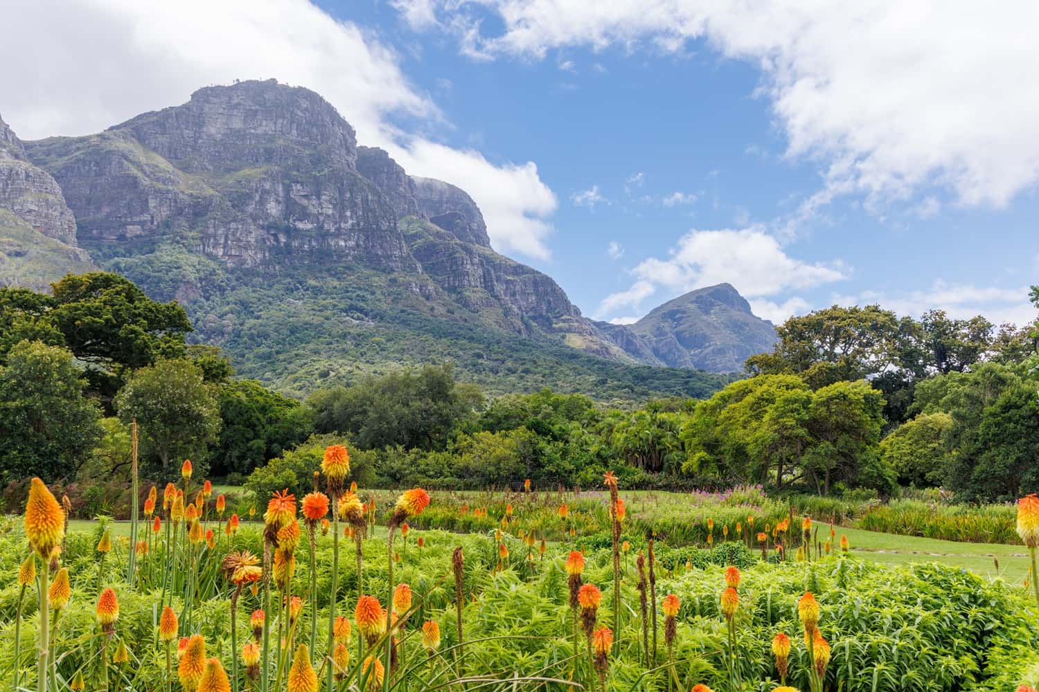 Kirstenbosch Botanical Garden in South Africa