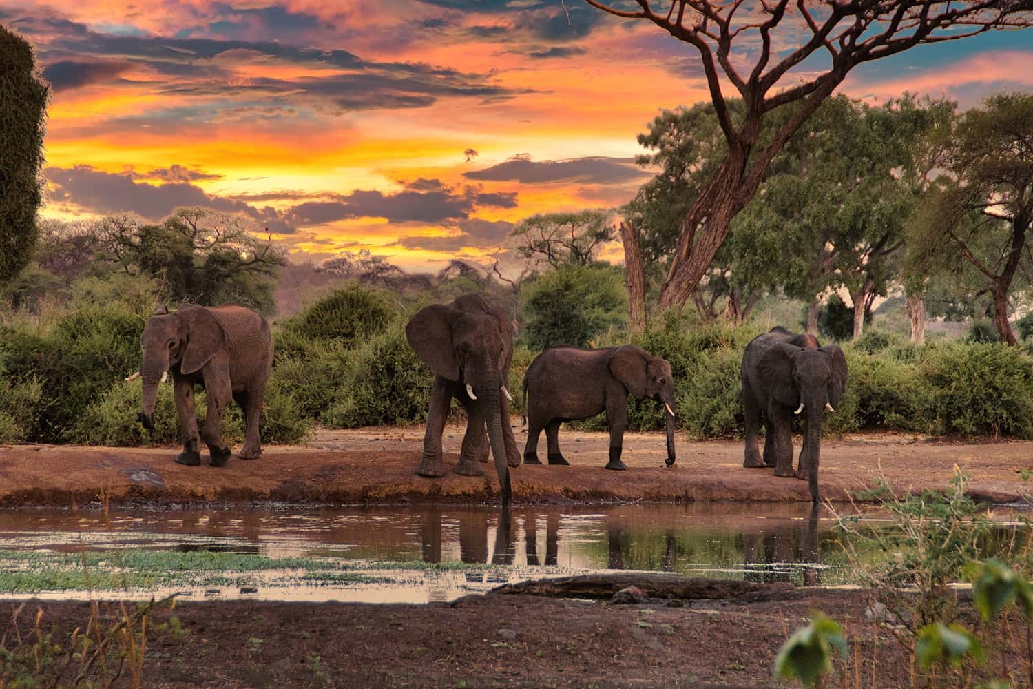 Suncity resort in South Africa