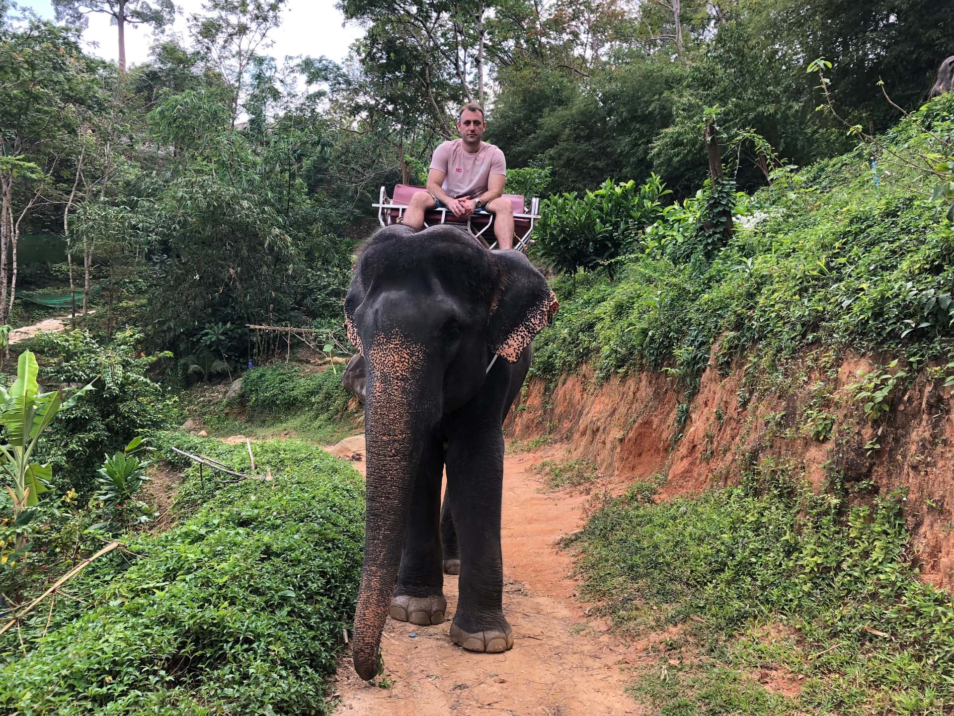 Take An Elephant Ride in Sri Lanka Heritage Tours