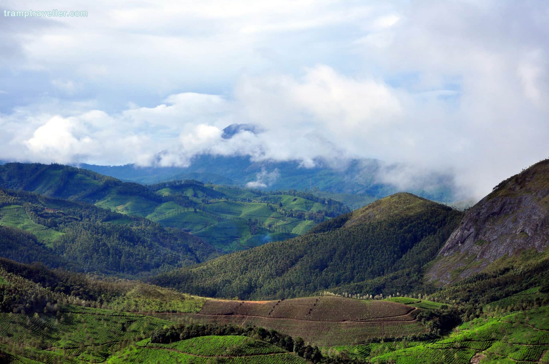 Rajamalai (Eravikulam) National Park