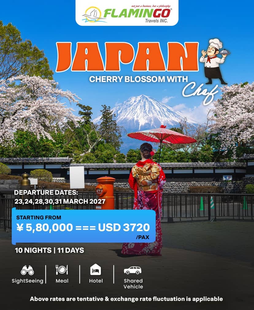 Epic Japan with Cherry Blossom