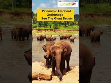 Sri Lanka opens for tourism- Are you all ready to explore these beautiful places in Sri Lanka ?