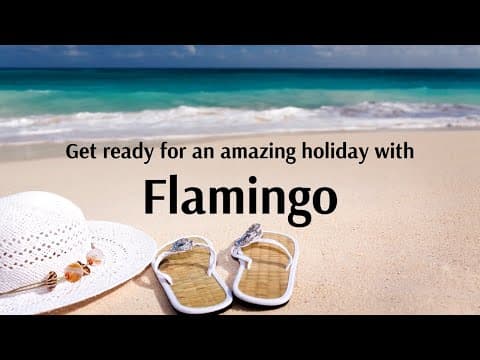 Travel the world with the best of the services with FLAMINGO! - Flamingo Travels