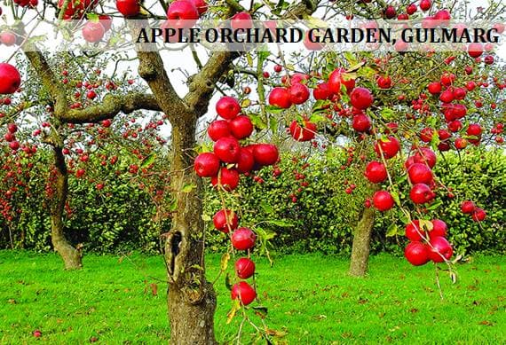 Best of Kashmir