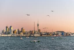 Auckland- 0