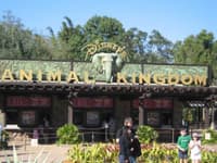Disney Land 