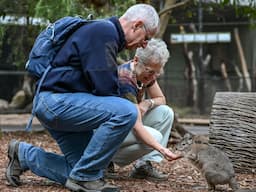 Featherdale Wildlife Park 