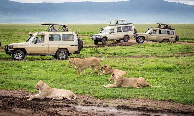 Highlights Of Tanzania