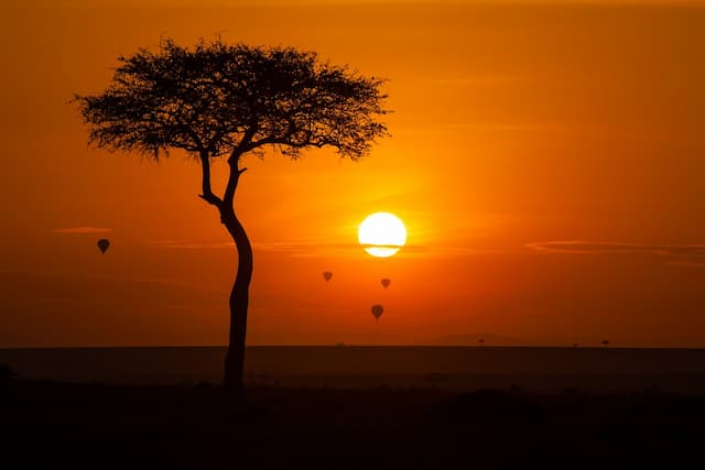 Highlight Of Kenya With Lake Nakuru