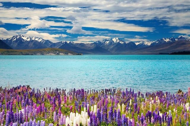 Naturally New Zealand With Amazing Australia