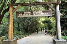 Muir Woods
