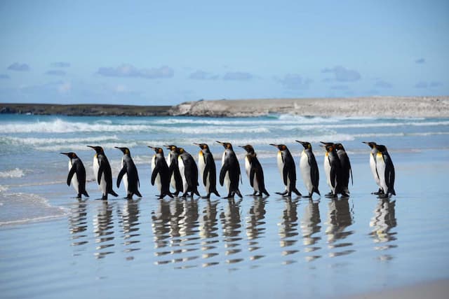 Amazing Australia