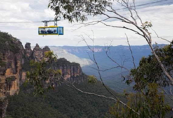 Blue Mountain Tour with Scenic Rides & Wildlife Park