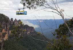 Blue Mountain Tour with Scenic Rides & Wildlife Park