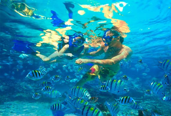 Snorkel-xel-ha