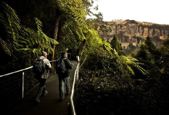 Blue Mountain Tour with Scenic Rides & Wildlife Park