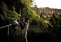 Blue Mountain Tour with Scenic Rides & Wildlife Park