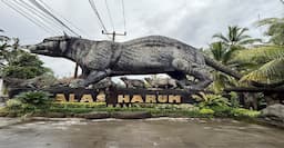 Alas Harum