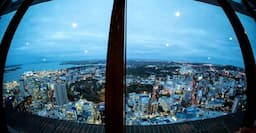City Tour