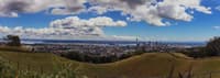 Auckland City 