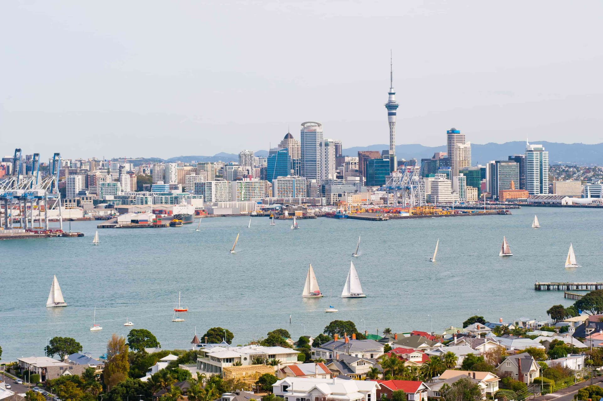 Auckland Cruise New