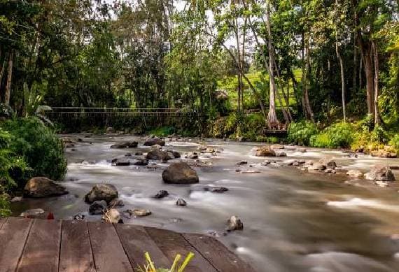 Ayung River 