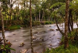 Ayung River