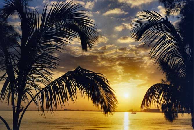 Best time to visit in Miami
