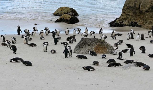 Splendid South Africa - Private Tour