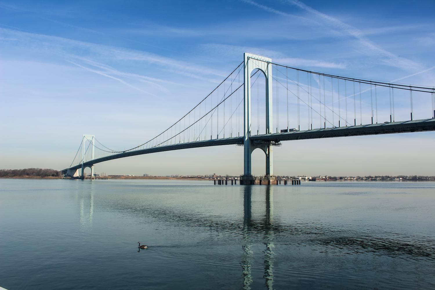 Bronx