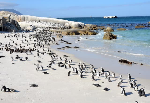 Exotic South Africa - Self Drive