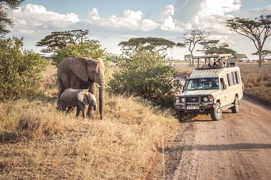 Tanzania Migration Special