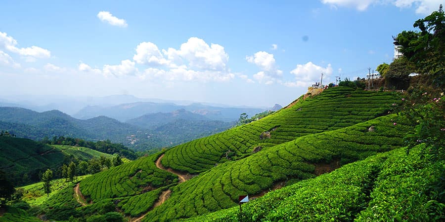 Top station kerala