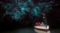 Waitomi Glowworm Caves