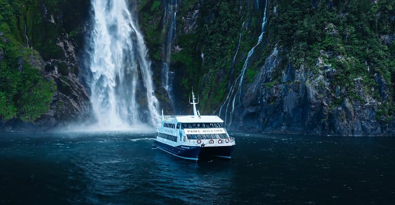 Cruise