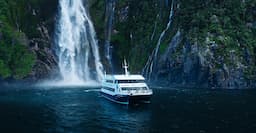 Cruise