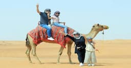 Desert Safari